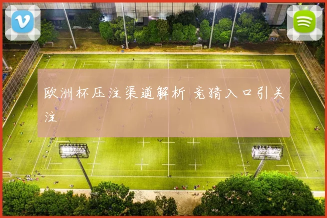 欧洲杯压注渠道解析 竞猜入口引关注