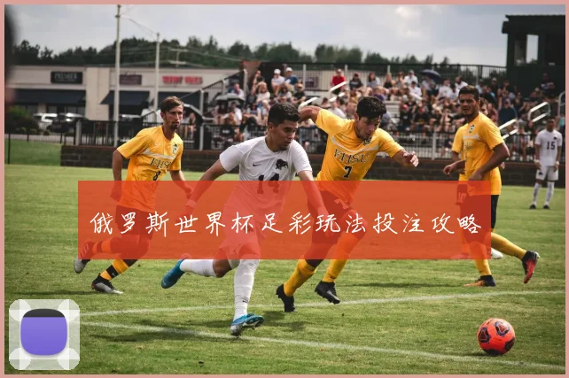 俄罗斯世界杯足彩玩法投注攻略